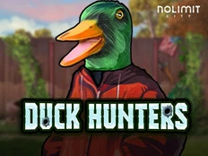 Duck Hunters game thumbnail